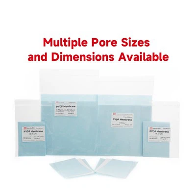 0.45 μm PVDF Membrane
