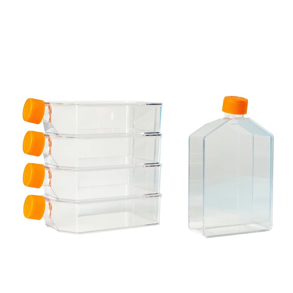 T175 Cell Culture Flask (6)